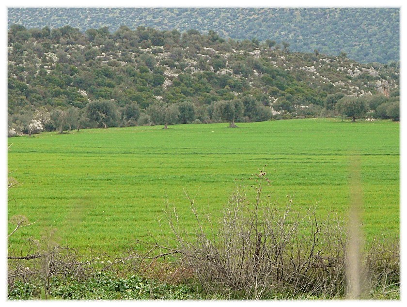 Le Steppe del Gargano